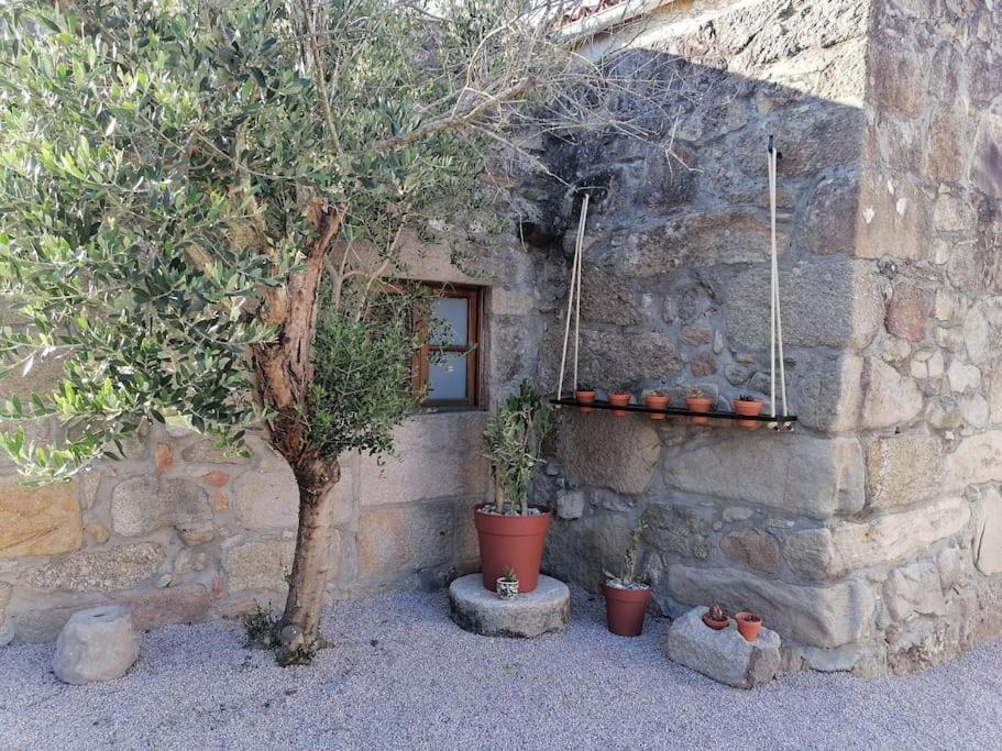Nigrán Villa Cristina מראה חיצוני תמונה